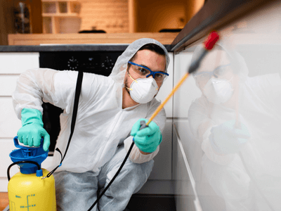 About Dwellshield Control - pest control experts in Madras