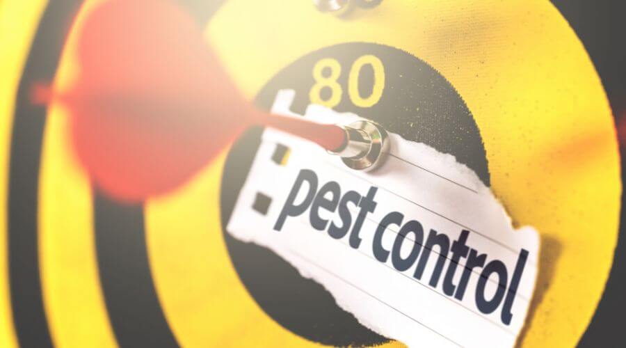 Professional pest control services in Madras